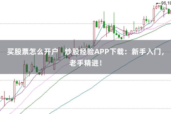 买股票怎么开户   炒股经验APP下载：新手入门，老手精进！