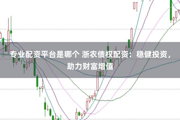专业配资平台是哪个 浙农债权配资：稳健投资，助力财富增值