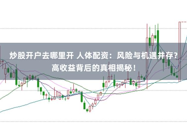 炒股开户去哪里开 人体配资：风险与机遇并存？高收益背后的真相揭秘！