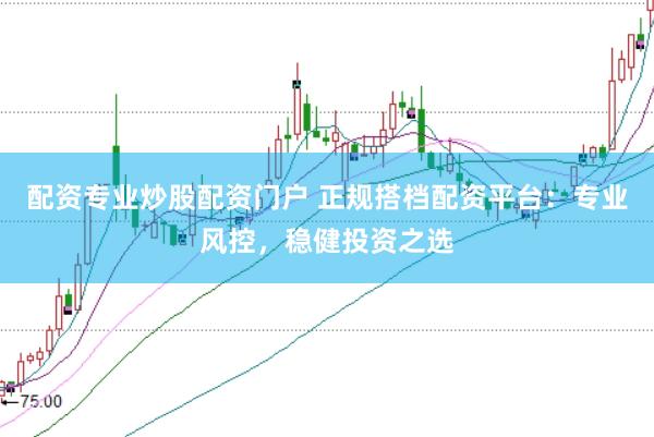 配资专业炒股配资门户 正规搭档配资平台：专业风控，稳健投资之选