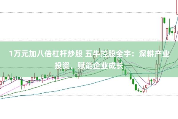 1万元加八倍杠杆炒股 五牛控股全宇：深耕产业投资，赋能企业成长