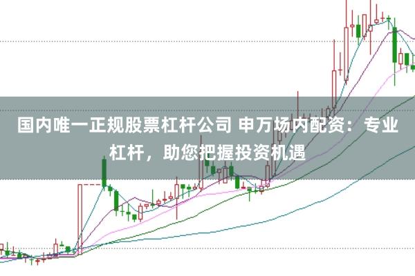 国内唯一正规股票杠杆公司 申万场内配资：专业杠杆，助您把握投资机遇