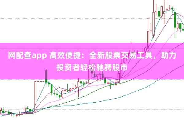 网配查app 高效便捷：全新股票交易工具，助力投资者轻松驰骋股市