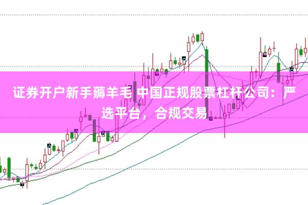 证券开户新手薅羊毛 中国正规股票杠杆公司：严选平台，合规交易