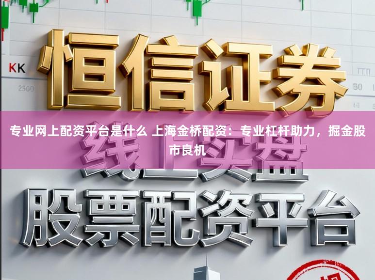 专业网上配资平台是什么 上海金桥配资：专业杠杆助力，掘金股市良机